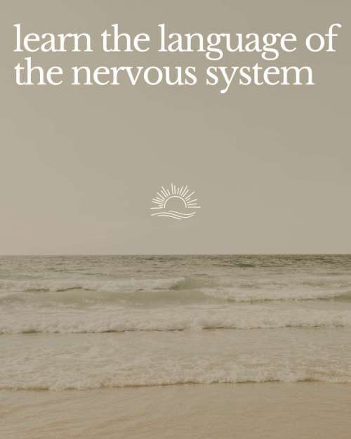 Embodied Trauma-Informed Training - Image 7