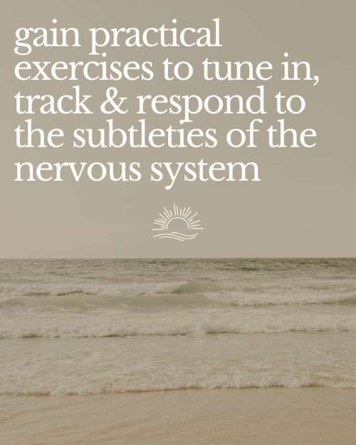 Embodied Trauma-Informed Training - Image 8