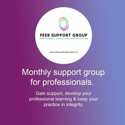 Monthly support group for professionals